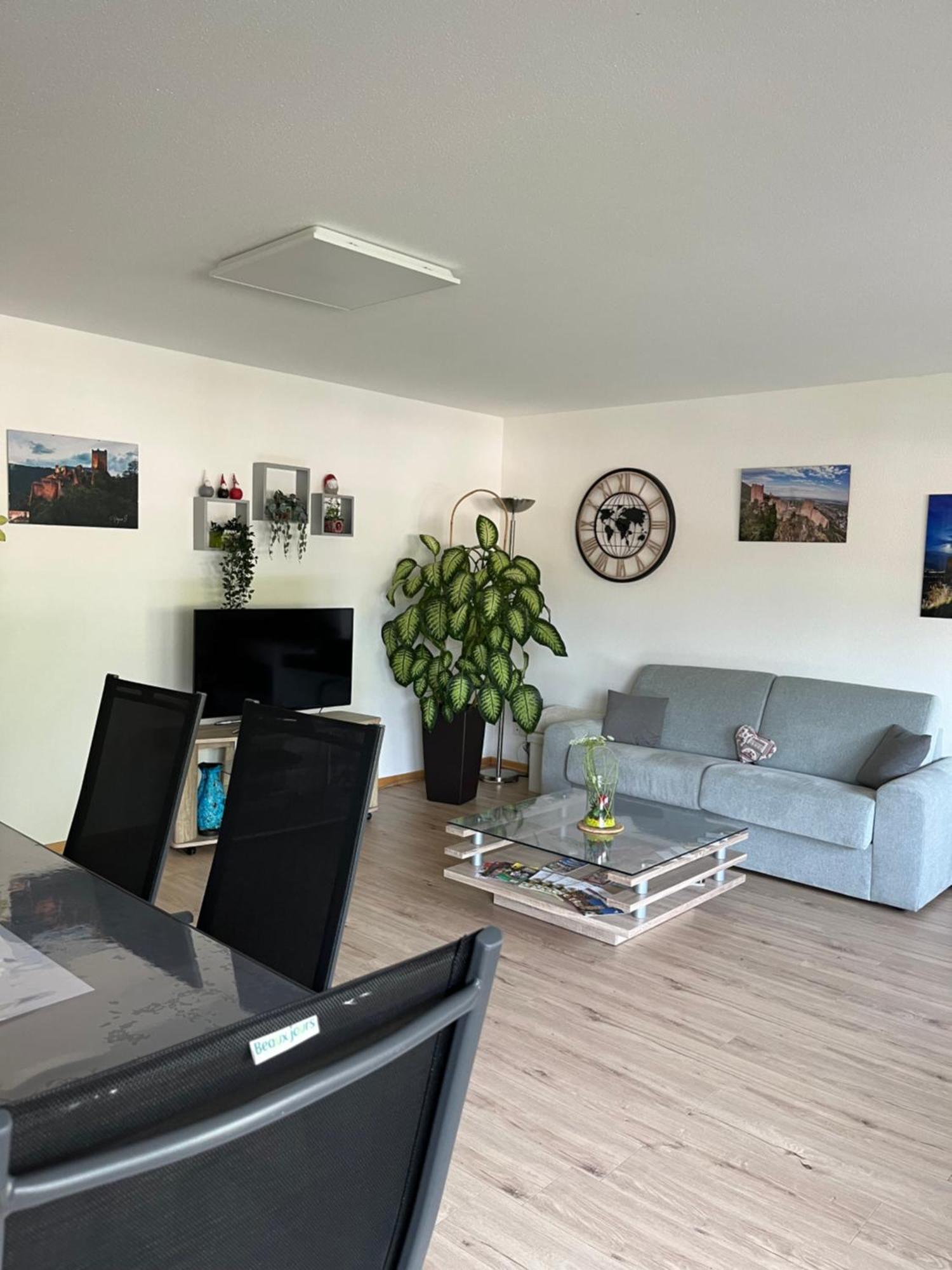 L'Aiglon Apartment Ribeauvillé Екстериор снимка