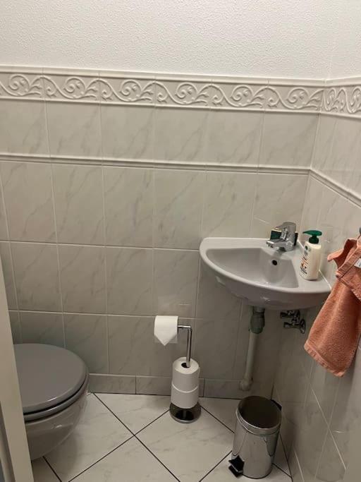 L'Aiglon Apartment Ribeauvillé Екстериор снимка